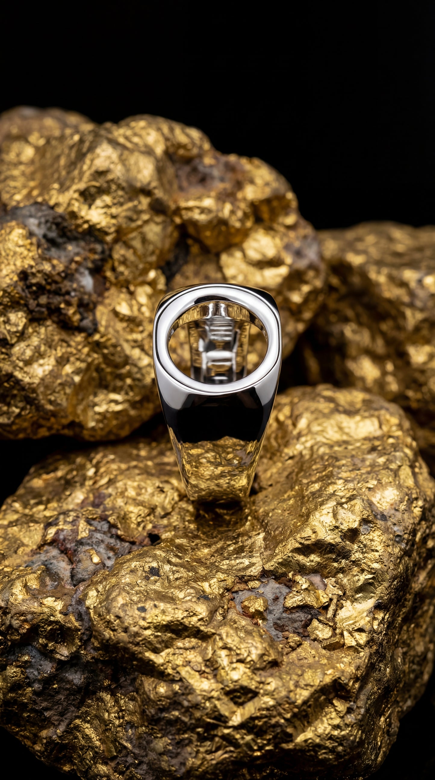 零環（又稱：起源）